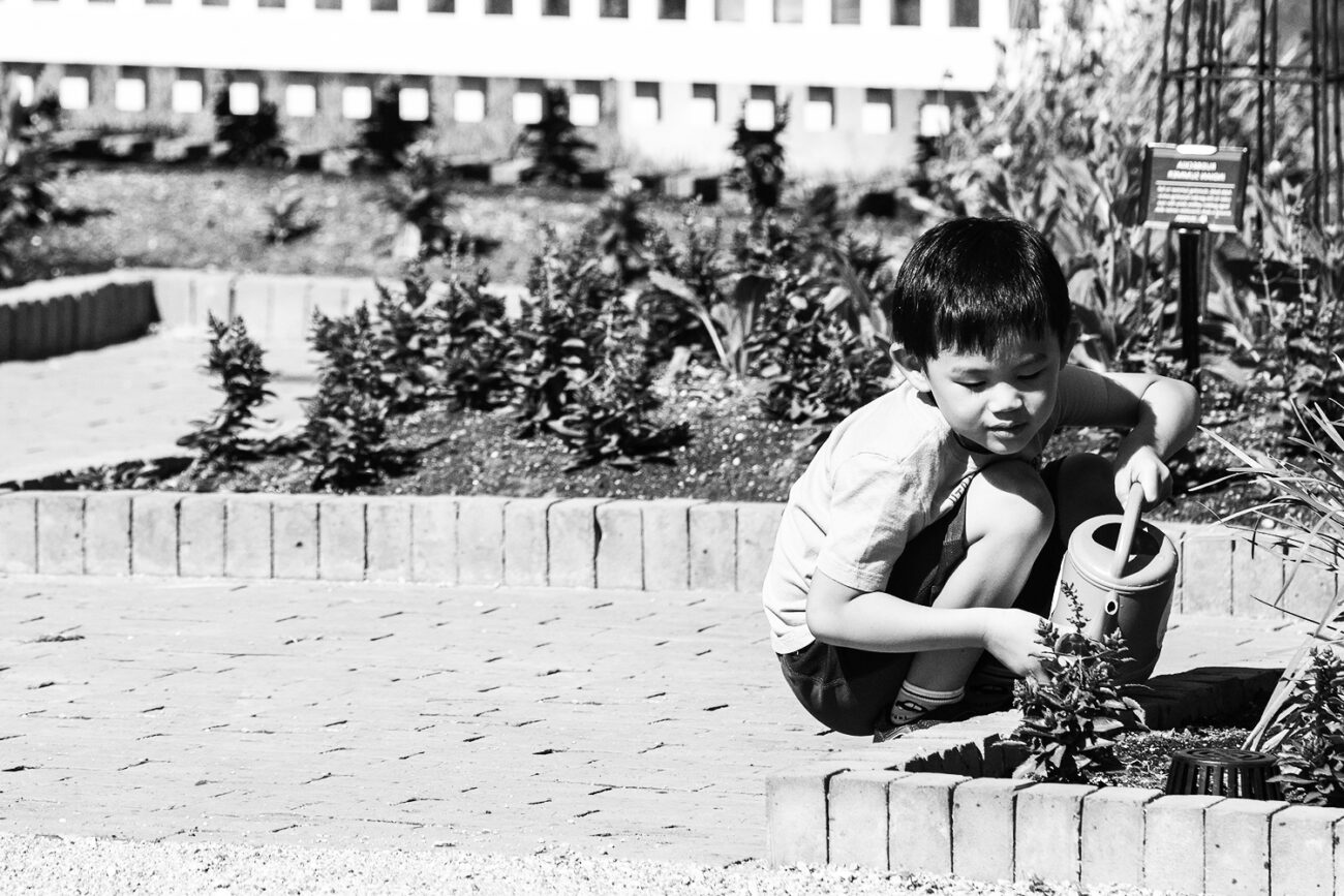young boy watering a plant with a watering can