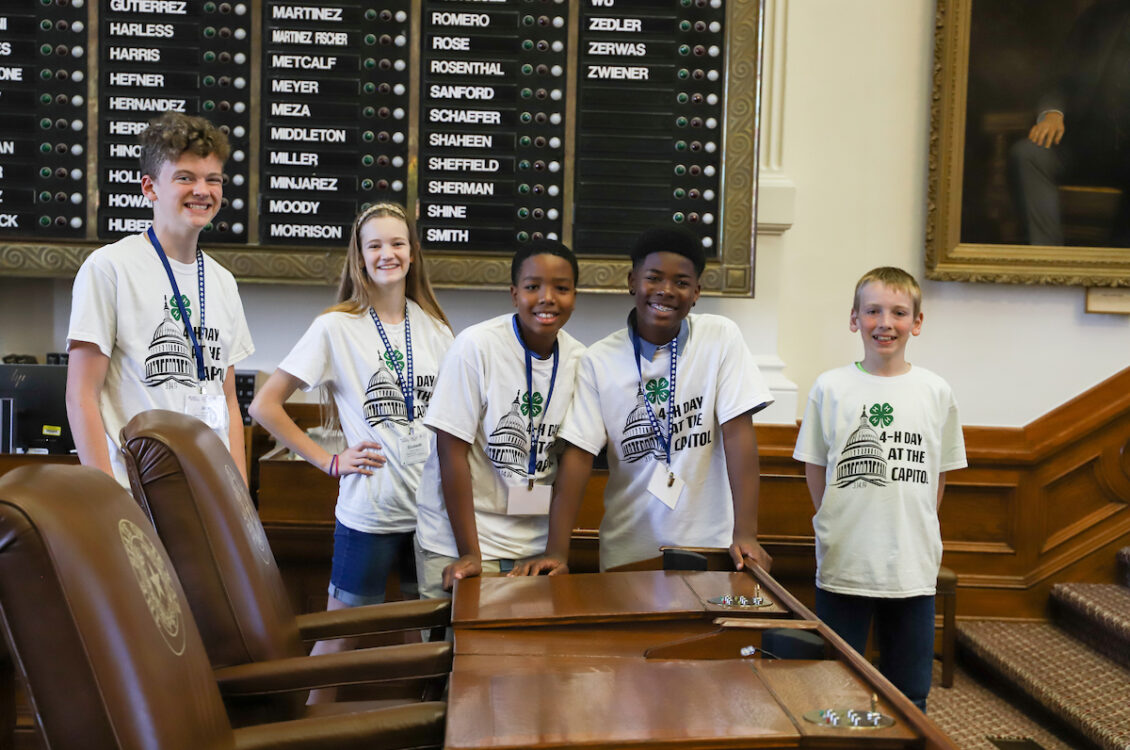 texas-4-h-foundation-opportunity-scholarship-program-texas-a-m