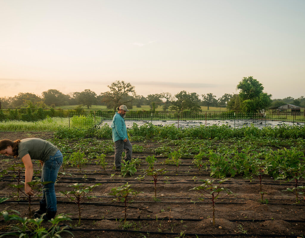 2 people working in a field