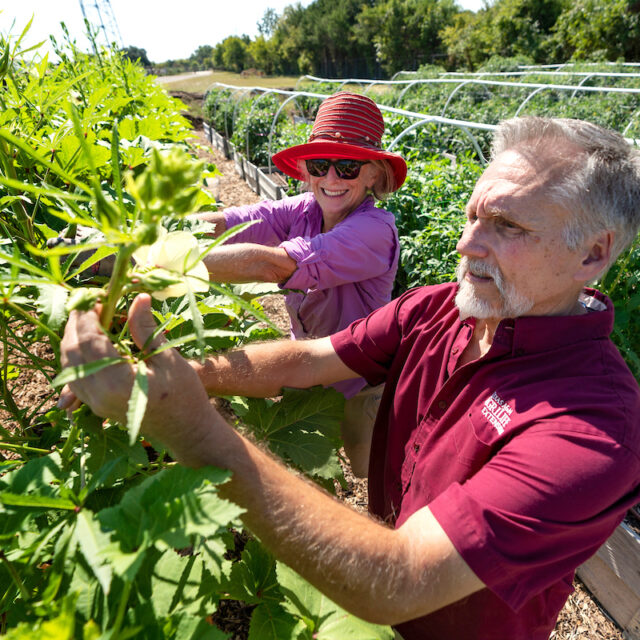 Volunteer Opportunities - Texas A&M Agrilife Extension Service