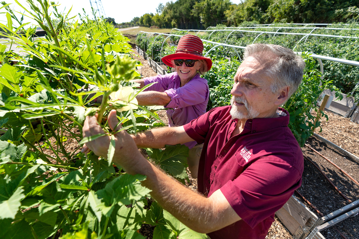 Ohio State University Master Gardener Program