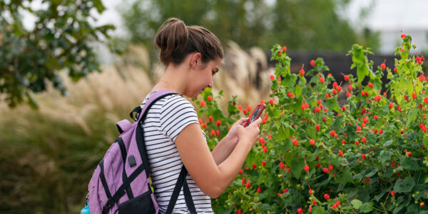 A student scans a plant with her phone