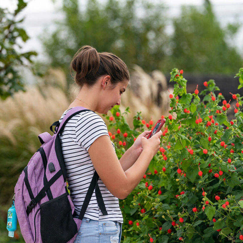 A student scans a plant with her phone