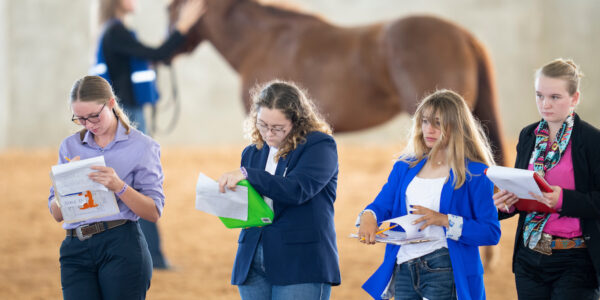 Teens standing with clipboards in a horse arena