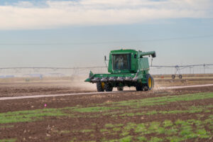 Combine harvester on Thursday, Nov 02, 2023 in Amarillo, Texas. (Michael Miller/Texas A&M AgriLife Marketing and Communications)