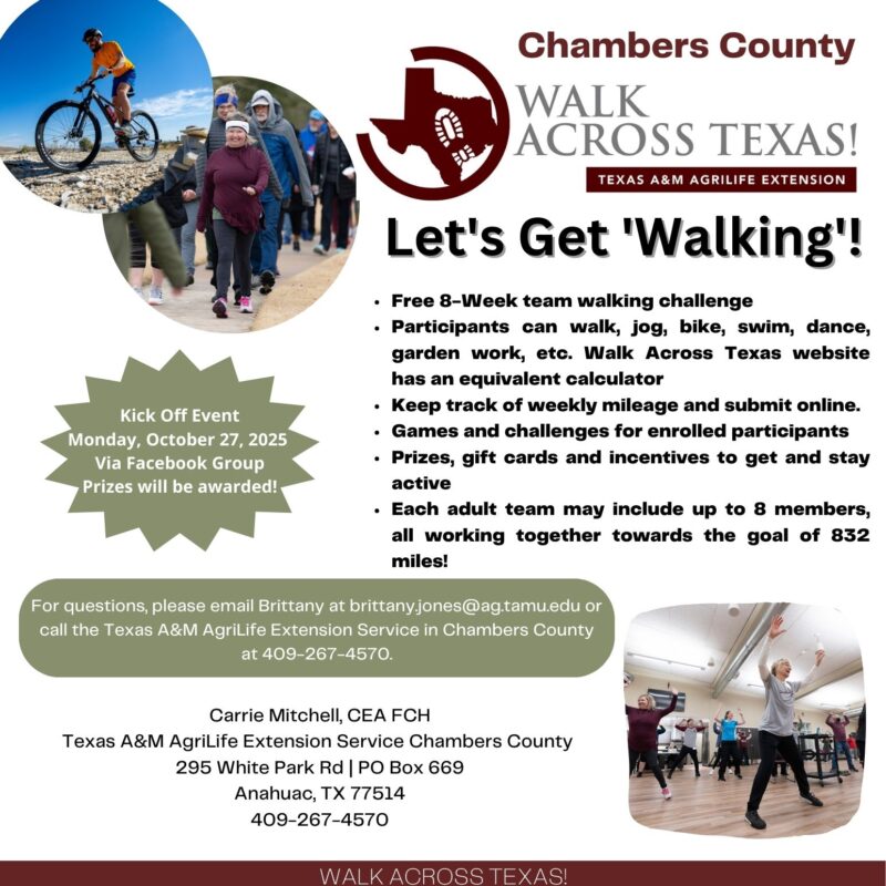 Walk Across Texas Flyer explaining details of event.