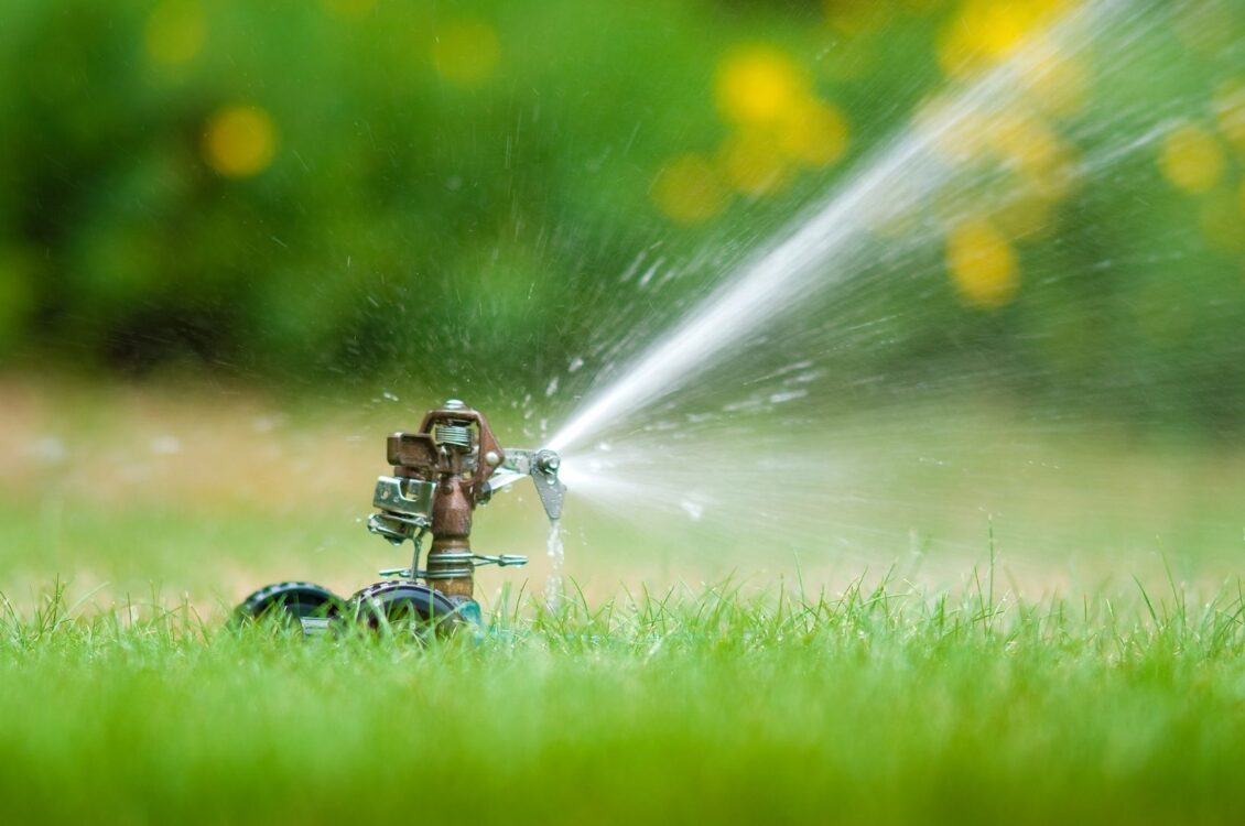 Irrigation of Lawns & Gardens – Texas A&M AgriLife Extension Service