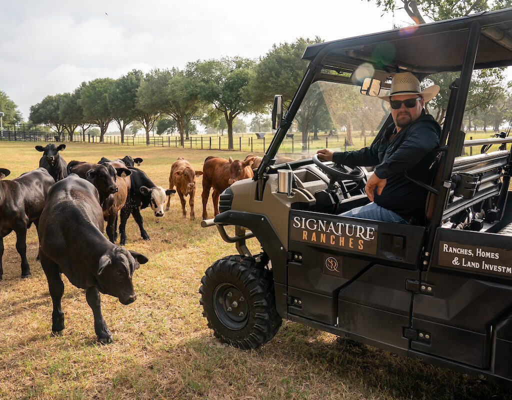 rancher driving a 4-wheeler near some cattle