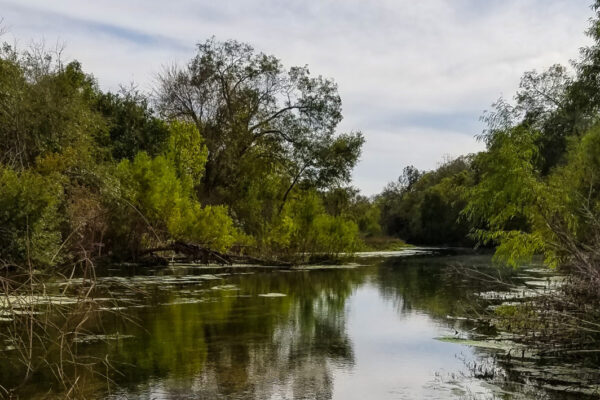 Cibolo Creek at Crescent Bend Nature Park