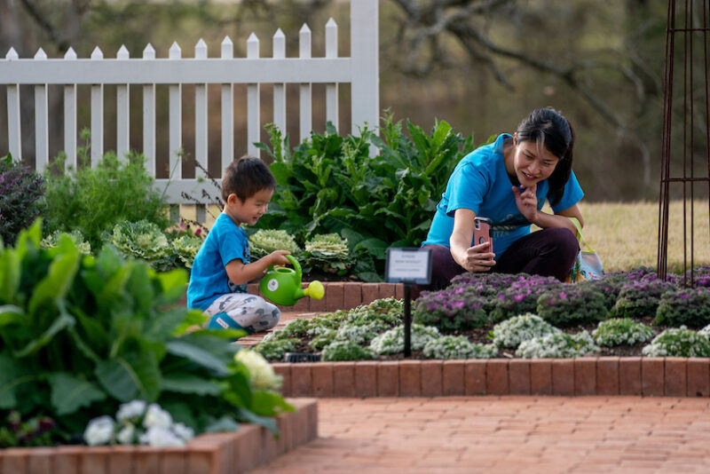 About - Texas A&M AgriLife Extension Service