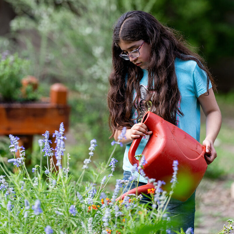 girl watering flowers in a garden