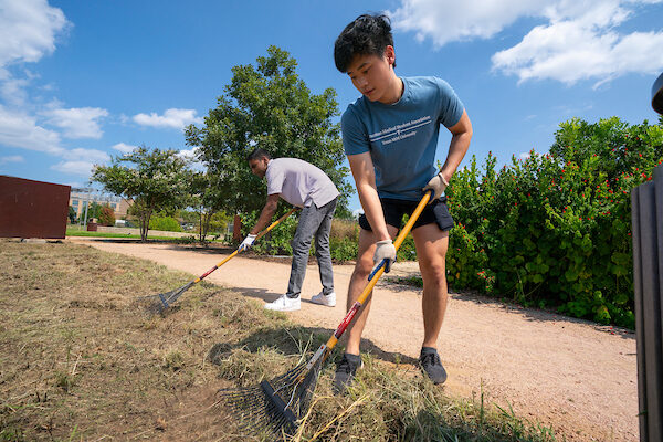 Volunteers raking dead grass at the Texas A&M Gardens