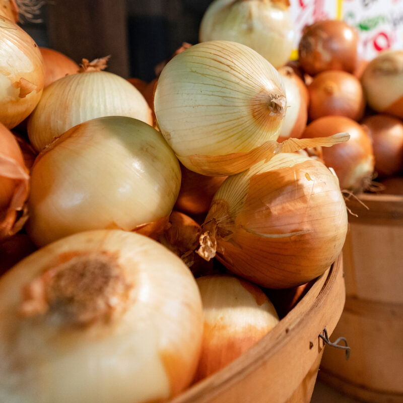 onions in wooden barrels