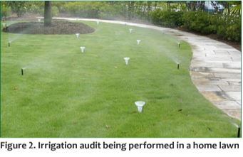 Figure 2. Irrigation audit being performed in a home lawn