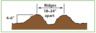 diagram showing how far apart to create ridges