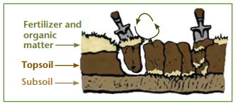 diagram showing different levels of soil