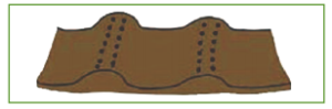 diagram showing where to plant carrots in soil if ridges are more than 1 to 2 feet apart