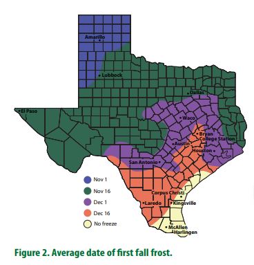Map of Texas showing the average date of first fall frost