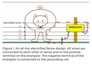 Deterring Bears With Electrified Fences: A Beginners Guide - Texas A&M ...