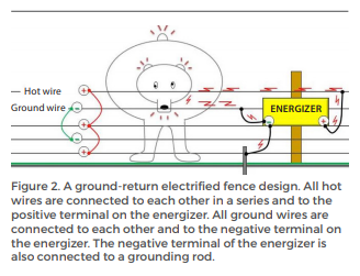 Figure 2. A ground-return electrified fence design. All hot wires are connected to each other in a series and to the positive terminal on the energizer. All ground wires are connected to each other and to the negative terminal on the energizer. The negative terminal of the energizer is also connected to the grounding rod.