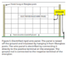 Deterring Bears With Electrified Fences: A Beginners Guide - Texas A&M ...