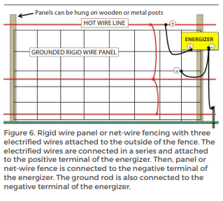 Figure 6. Rigid wire panel or net-wire fencing with three electrified wires attached to the outside of the fence. The to the positive terminal of the energizer. Then, panel or net-wire fence is connected to the negative terminal of the energizer. The around rod is also connected to the negative terminal of the energizer.
