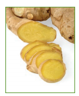 a sliced section of ginger root with yellow flesh