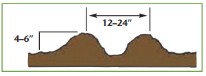 diagram showing how to spade and create ridges in the soil when preparing to plant carrots