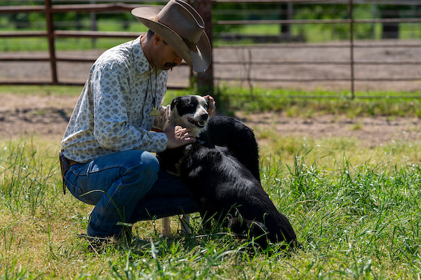 A rancher holding a herding dog