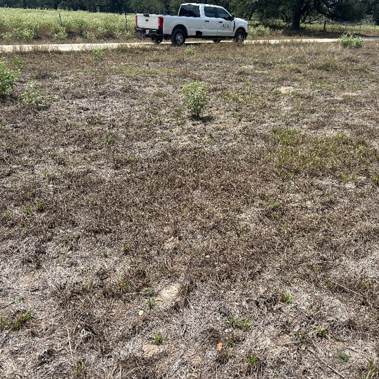 a pasture of dead brown grass