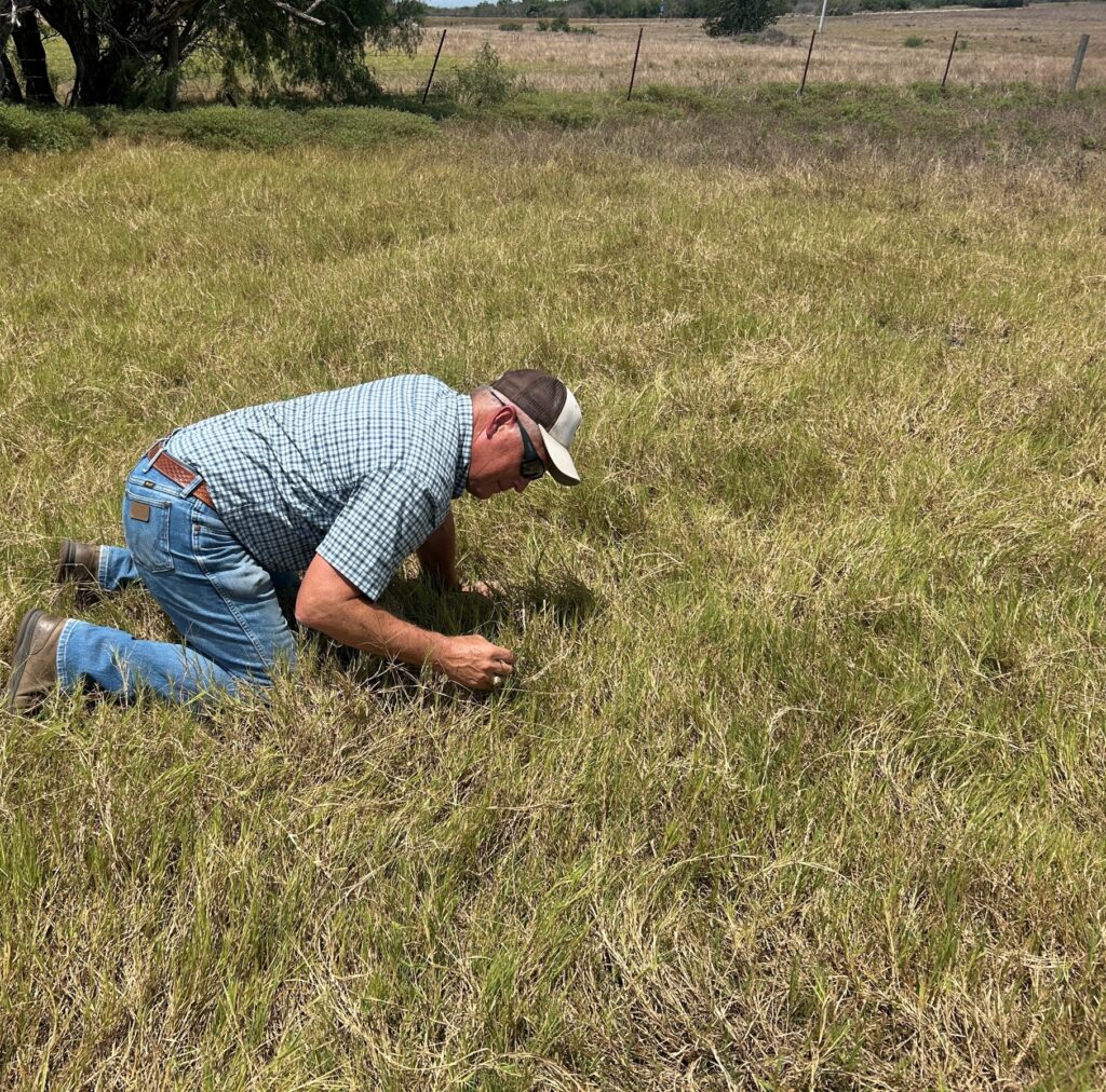 a man kneeling in a field, examining the grass